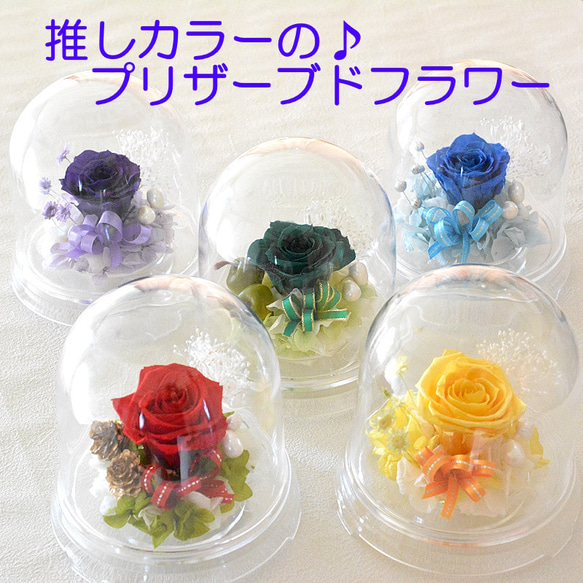 プリザーブドフラワー 誕生日 花 母の日 推し活 推しカラー 推し花