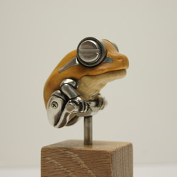 カエル サテンウッド（木材）ピューター（金属） キーホルダー or 置物