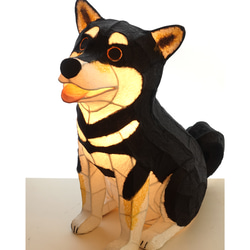立体わんこライト（柴犬）注文製作 1枚目の画像