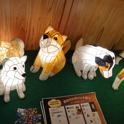 立体わんこライト（柴犬）注文製作 7枚目の画像