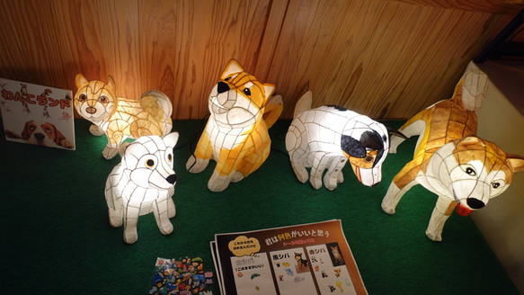 立体わんこライト（柴犬）注文製作 7枚目の画像