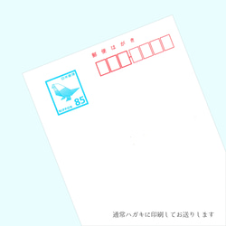  第3張的照片