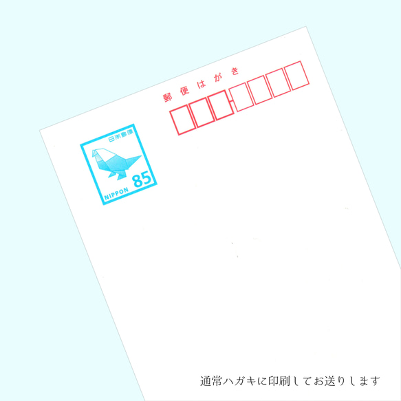  第3張的照片