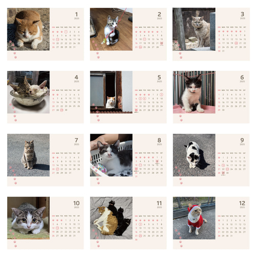 2025年4月始まり野良猫カレンダー カレンダー CutCat 通販