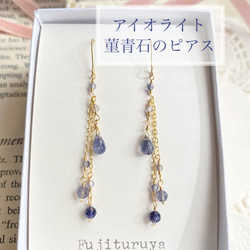 ことり♡.* ♦︎14kgfアイオライト・カイヤナイトピアス/イヤリング カイヤナイト | Aqua Nina