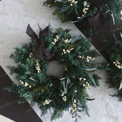 早割】深い森のリース 直径24cm クリスマスリース ドライフラワー