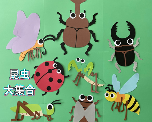 壁面飾り 注文 昆虫採集 60fb39585c8a158612e7106fae2549