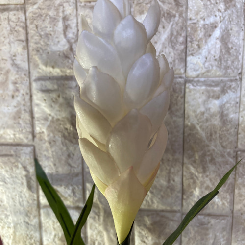 光触媒　人工観葉植物　ウォールグリーン　フェイクグリーン　グズマニア　ジンジャー 光触媒 人工観葉植物 ウォールグリーン フェイクグリーン