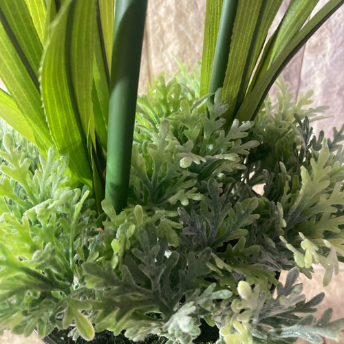 光触媒人工観葉植物ウォールグリーンフェイクグリーングズマニアジンジャー