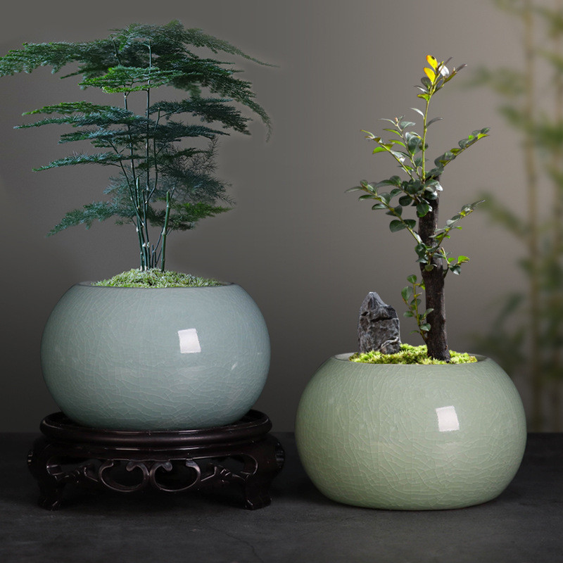 盆栽鉢 多肉植物鉢 大品盆栽鉢 植木鉢 小品盆栽鉢 紫砂鉢