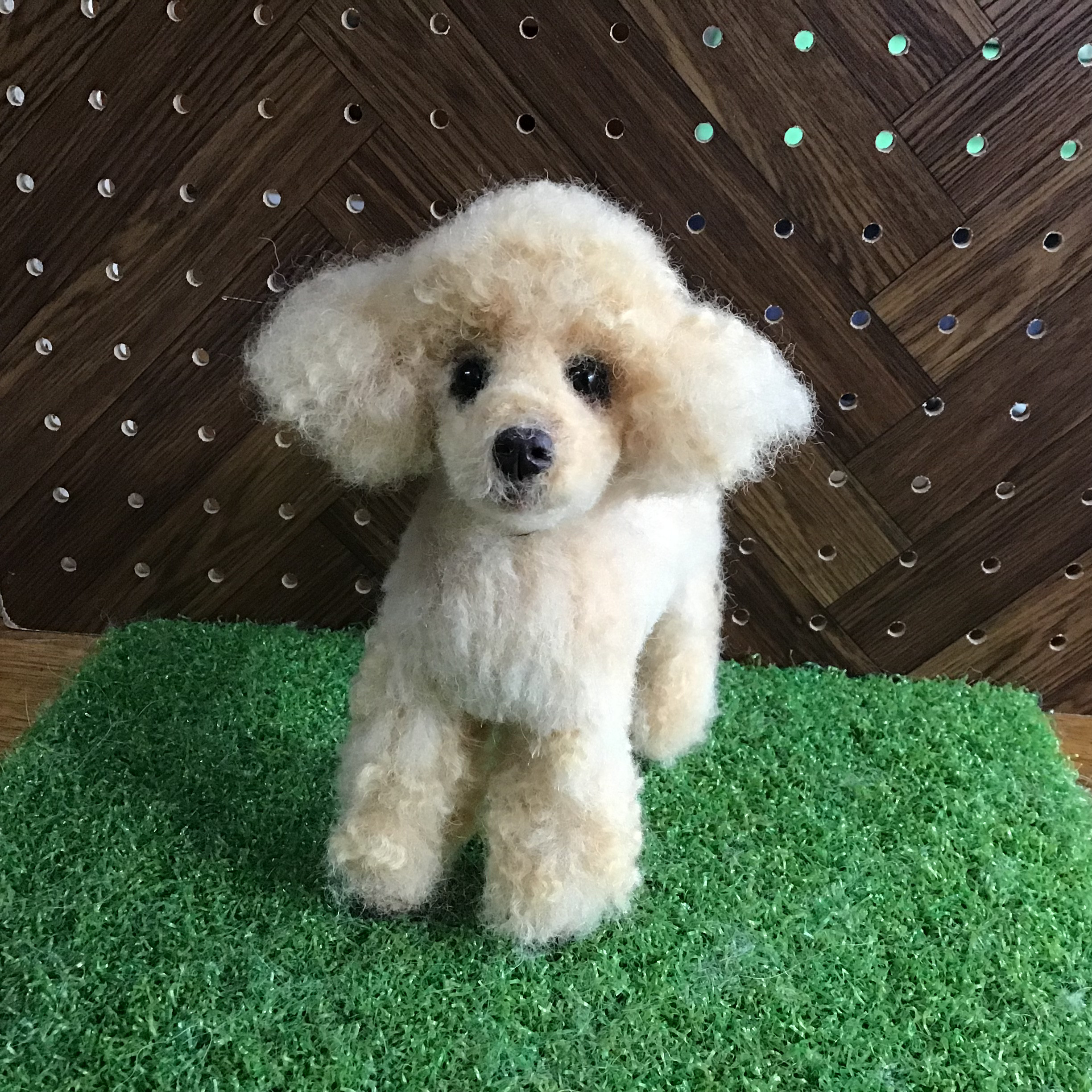 送料込み。トイプードルアプリコットちゃん。立ちポーズ。