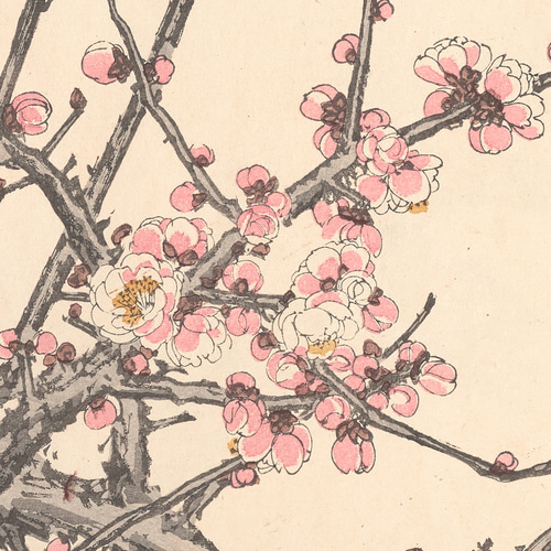 梅の花 日本画 貼り絵 Amazon｜月下紅白梅 緒方葉水 49.5× 61㎝ F8 J4-B016 額入り