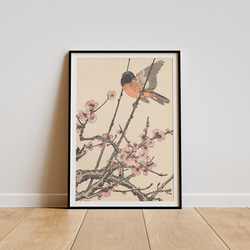 6701c698c503c8a5bbf9f0ca523809