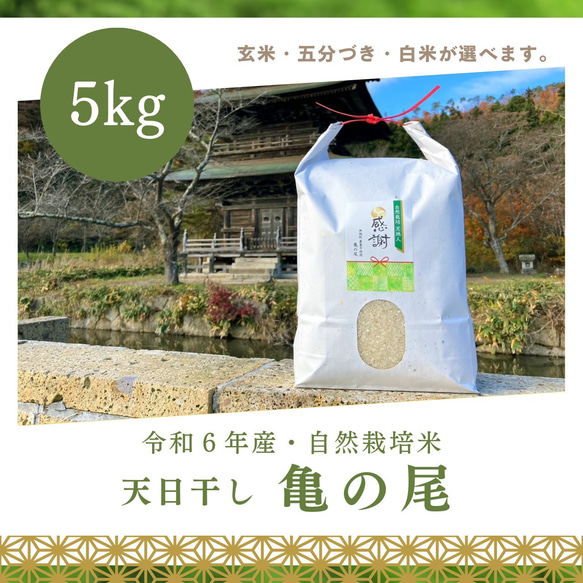 天日干しの幻の自然農法栽培米「天城の朝日」玄米5kg 天日干しの幻の自然農法栽培米「天城の朝日」玄米5kg