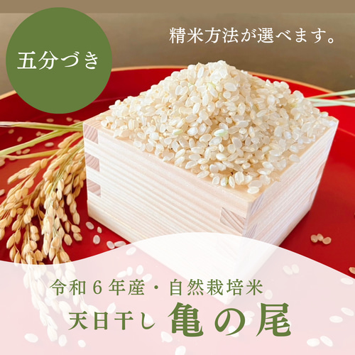 自然栽培 亀の尾 10kg 精米 農薬肥料不使用栽培