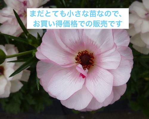 4060ec9332526282012ce787a3f41d