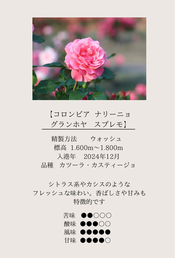 【最安値】ドリップバッグコーヒーおうち時間 ドリップコーヒー 自家焙煎 コーヒー豆 珈琲豆 6枚目の画像
