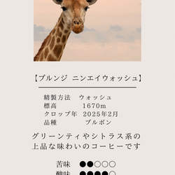 【最安値】ドリップバッグコーヒーおうち時間 ドリップコーヒー 自家焙煎 コーヒー豆 珈琲豆 9枚目の画像