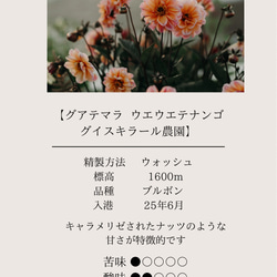 【最安値】ドリップバッグコーヒーおうち時間 ドリップコーヒー 自家焙煎 コーヒー豆 珈琲豆 8枚目の画像