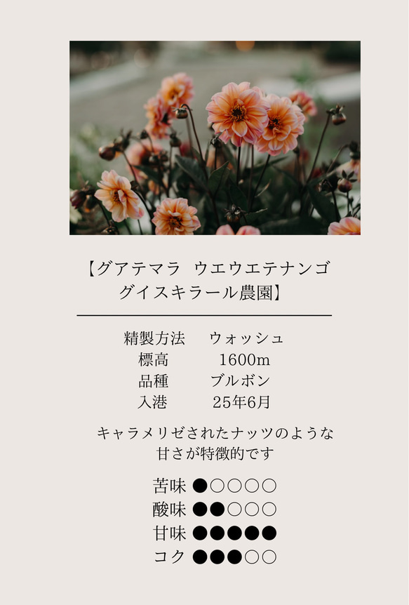 【最安値】ドリップバッグコーヒーおうち時間 ドリップコーヒー 自家焙煎 コーヒー豆 珈琲豆 8枚目の画像