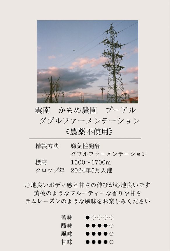 【最安値】ドリップバッグコーヒーおうち時間 ドリップコーヒー 自家焙煎 コーヒー豆 珈琲豆 7枚目の画像