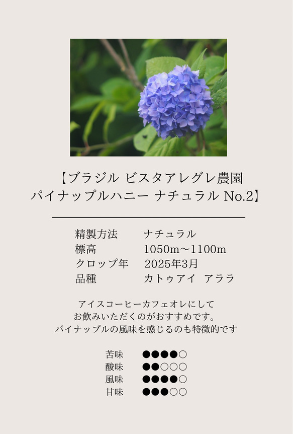 【最安値】ドリップバッグコーヒーおうち時間 ドリップコーヒー 自家焙煎 コーヒー豆 珈琲豆 10枚目の画像