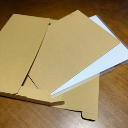 A3サイズ ビカクシダ リドレイポスター 【GG】（テキスト有り） 6枚目の画像