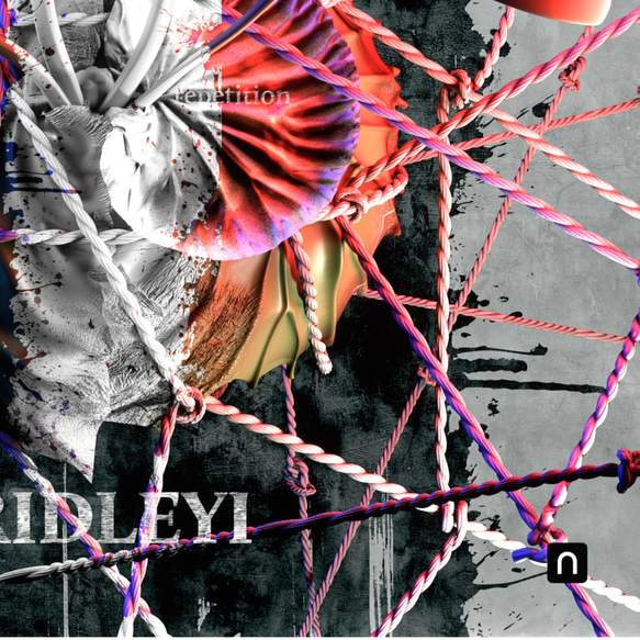 A3サイズ ビカクシダ リドレイポスター 【GG】（テキスト有り） 4枚目の画像