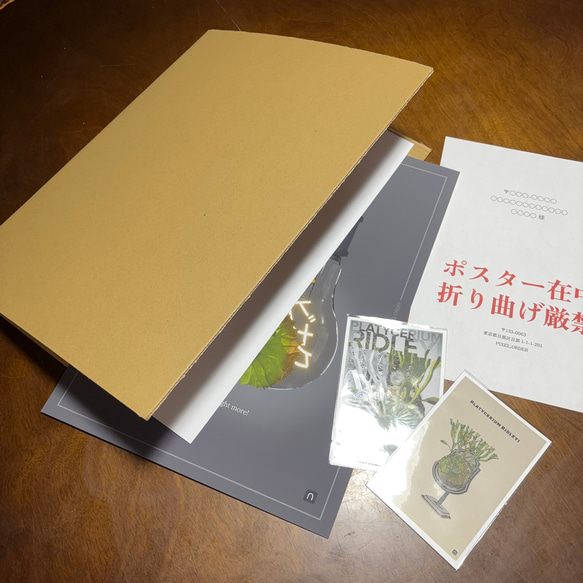 A3サイズ ビカクシダ リドレイポスター 【GG】（テキスト有り） 5枚目の画像