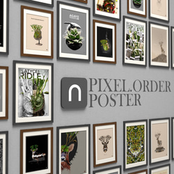 A3サイズ ビカクシダ リドレイポスター 【GG】（テキスト有り） 7枚目の画像