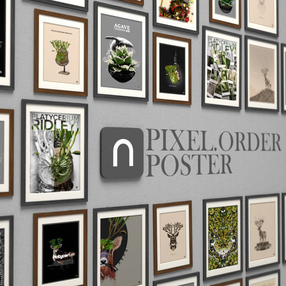 A3サイズ ビカクシダ リドレイポスター 【GG】（テキスト有り） 7枚目の画像