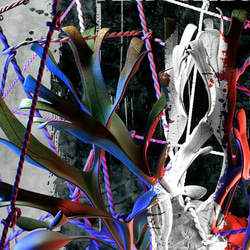 A3サイズ ビカクシダ リドレイポスター 【GG】（テキスト有り） 3枚目の画像