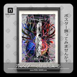 A3サイズ ビカクシダ リドレイポスター 【GG】（テキスト有り） 1枚目の画像