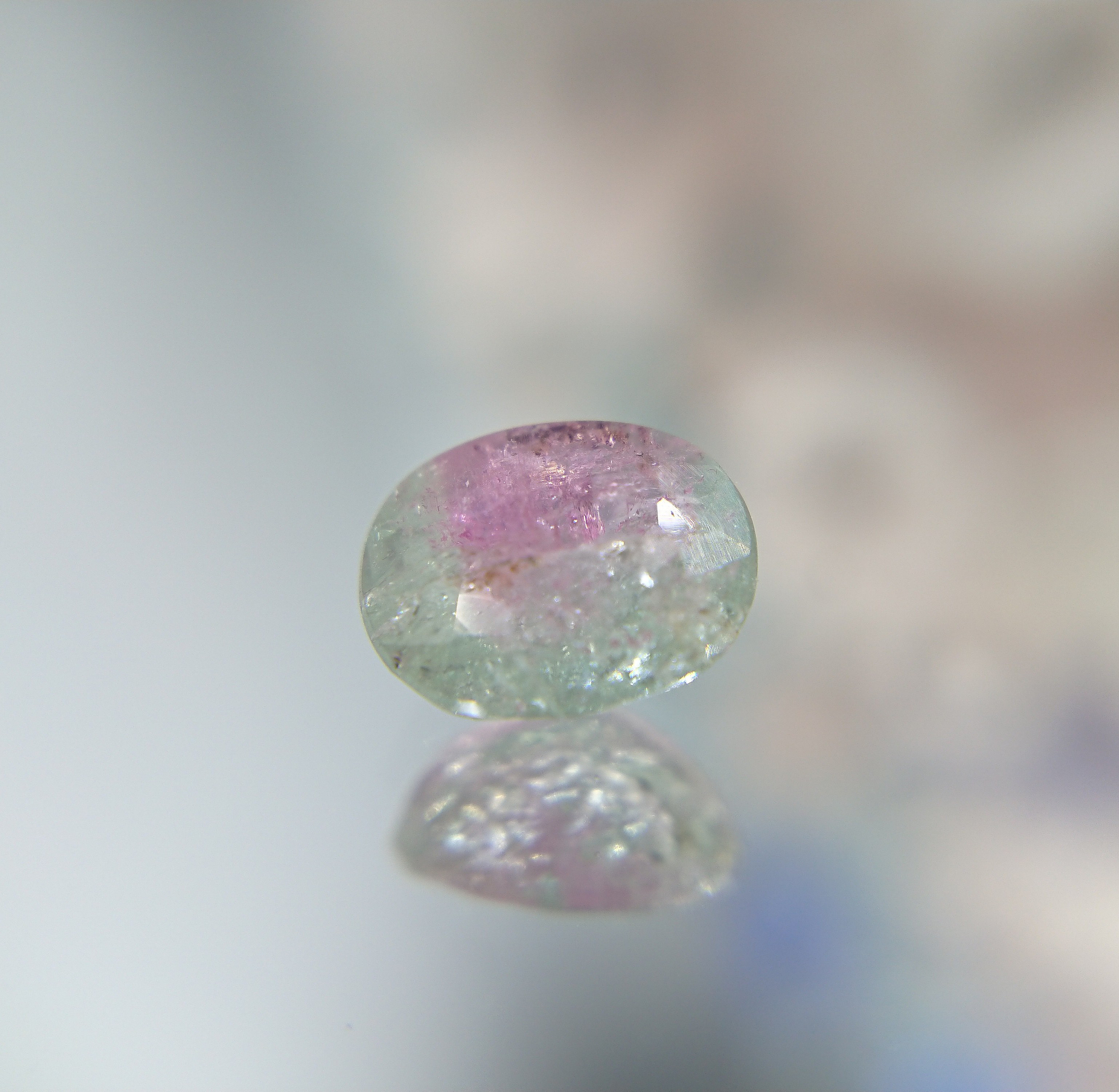 トルマリン バイカラートルマリン  0.88ct ⭐1979