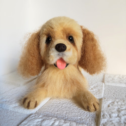 ミニチュアダックスフンド♡イエロー、ゴールド♡ ハート