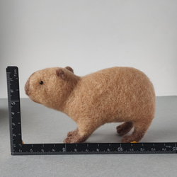 あるくカピバラ　（素材・羊毛） 2枚目の画像