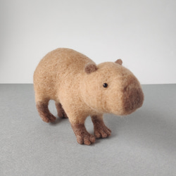 あるくカピバラ　（素材・羊毛） 1枚目の画像