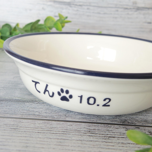 新作 ペットフードボウル 小型犬・猫用 選べる5色（名入れ無料）磁器