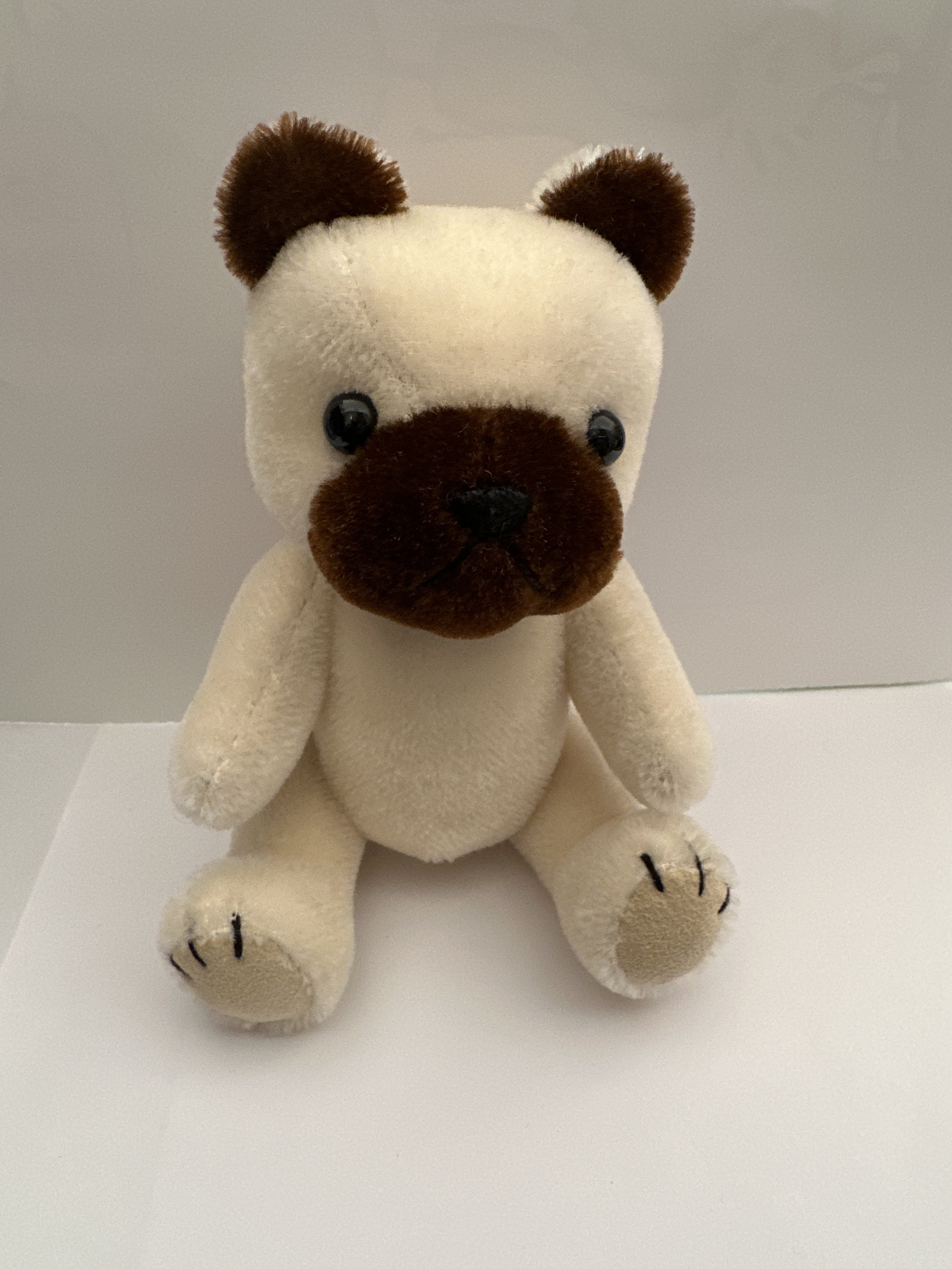 ホワイトブル君