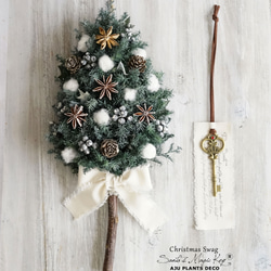 クリスマス・リース（9）～ Joyeux Noël ～ 29cm（プリザ