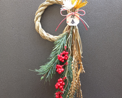 50d3e45446d86a1fe21538e6894449