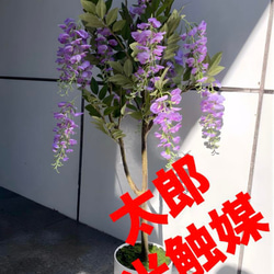 光触媒　人工観葉植物　ウォールグリーン　フェイクグリーン　パーチツリーg 光触媒 人工観葉植物 ウォールグリーン フェイクグリーン パーチ