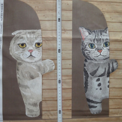 新品綿生地　HOME DECO 「壁からひょっこり猫たち 」 生地幅横110ｃｍ× 縦97cm　パネルカット 4枚目の画像