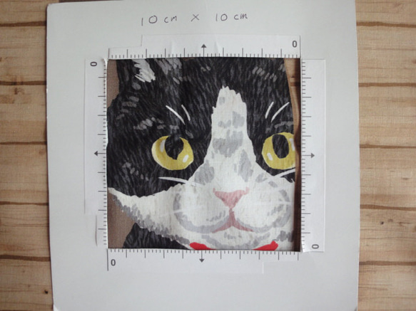 新品綿生地　HOME DECO 「壁からひょっこり猫たち 」 生地幅横110ｃｍ× 縦97cm　パネルカット 6枚目の画像