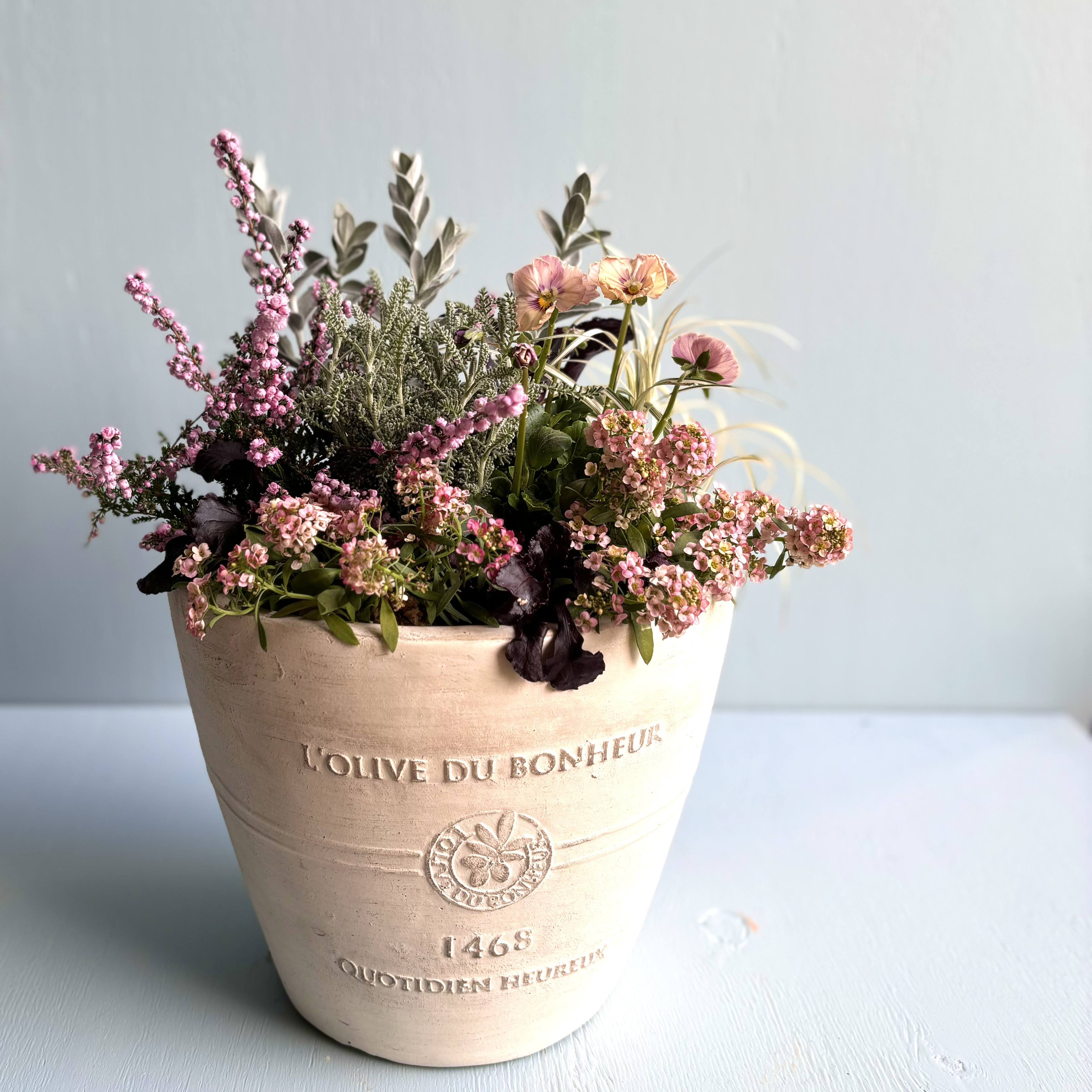 花屋が作る寄せ植え② 「ときめきビオラ」シネマティックベインの寄せ植え