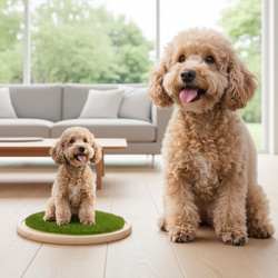 シーズー うちの子オーダー2025 羊毛フェルト momoichigo 羊毛フェルト