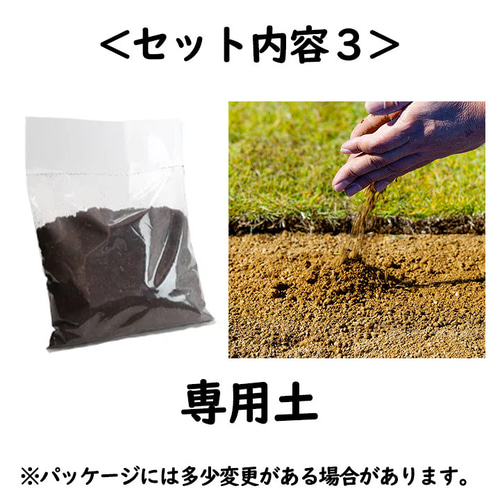 [選べるパワーストーン入り]アーシングポットキッド（苔タイプ） 水晶入りアーシングポットキット（苔タイプ） その他素材 tunsam