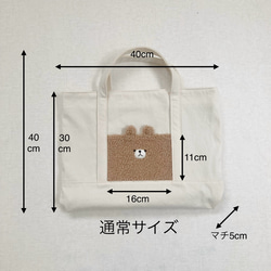  第9張的照片