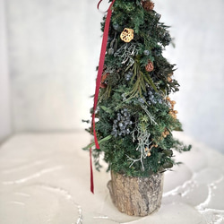 2024Xmas ずっと使えるXmasツリー　 2枚目の画像