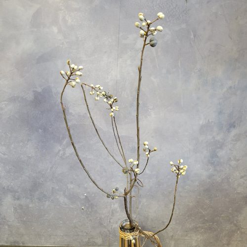 季節限定！ナンキンハゼ 枝物 80~90cm ドライフラワー papaver 通販